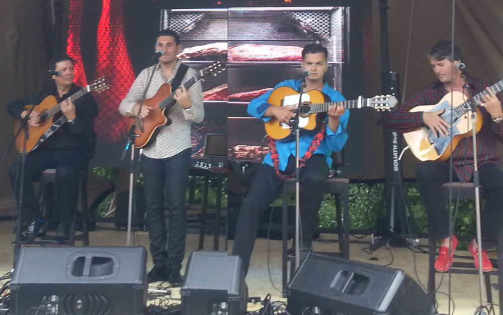 Flamencoband, flamenco band, decor en catering voor je feest